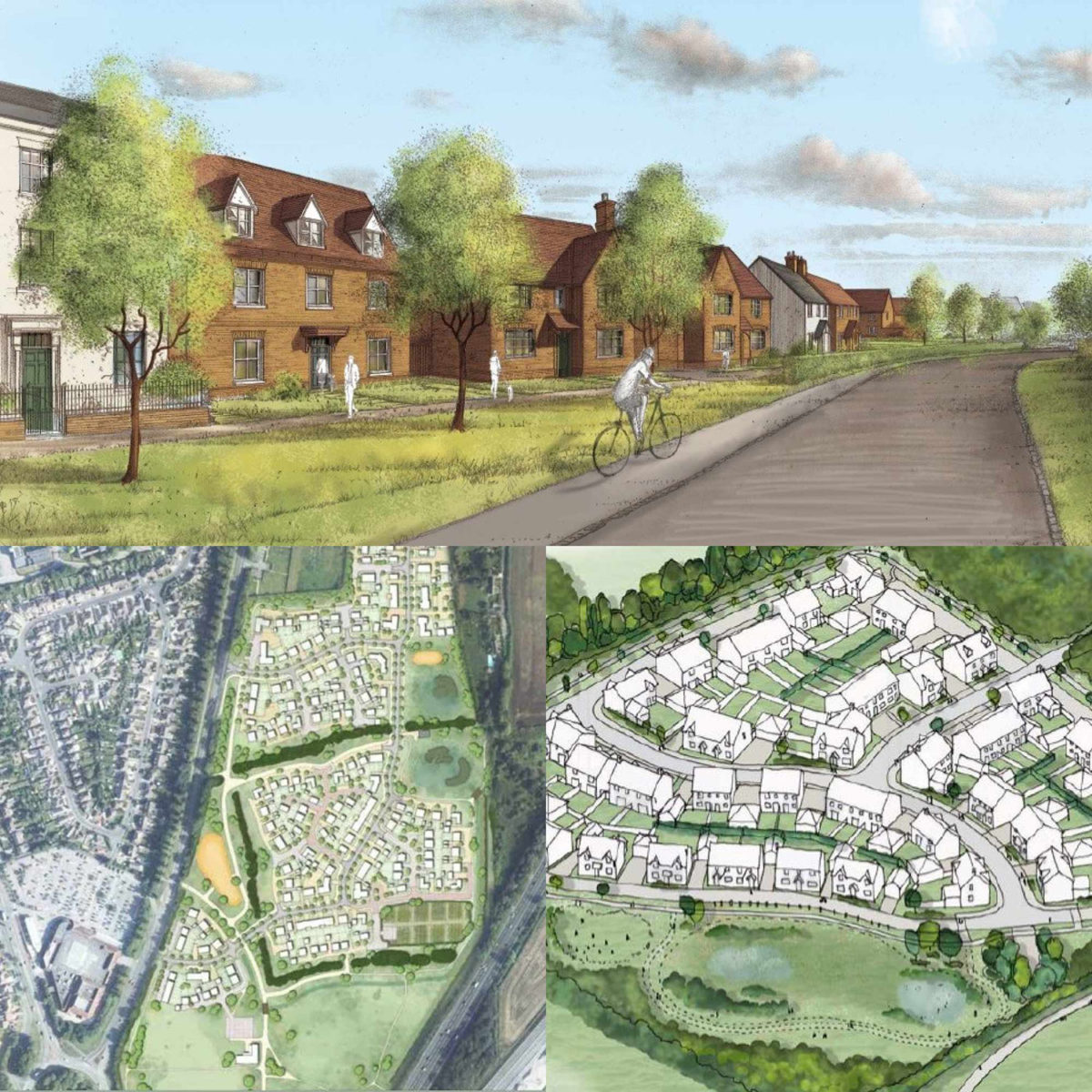 Crosstree Portfolio - Barwood